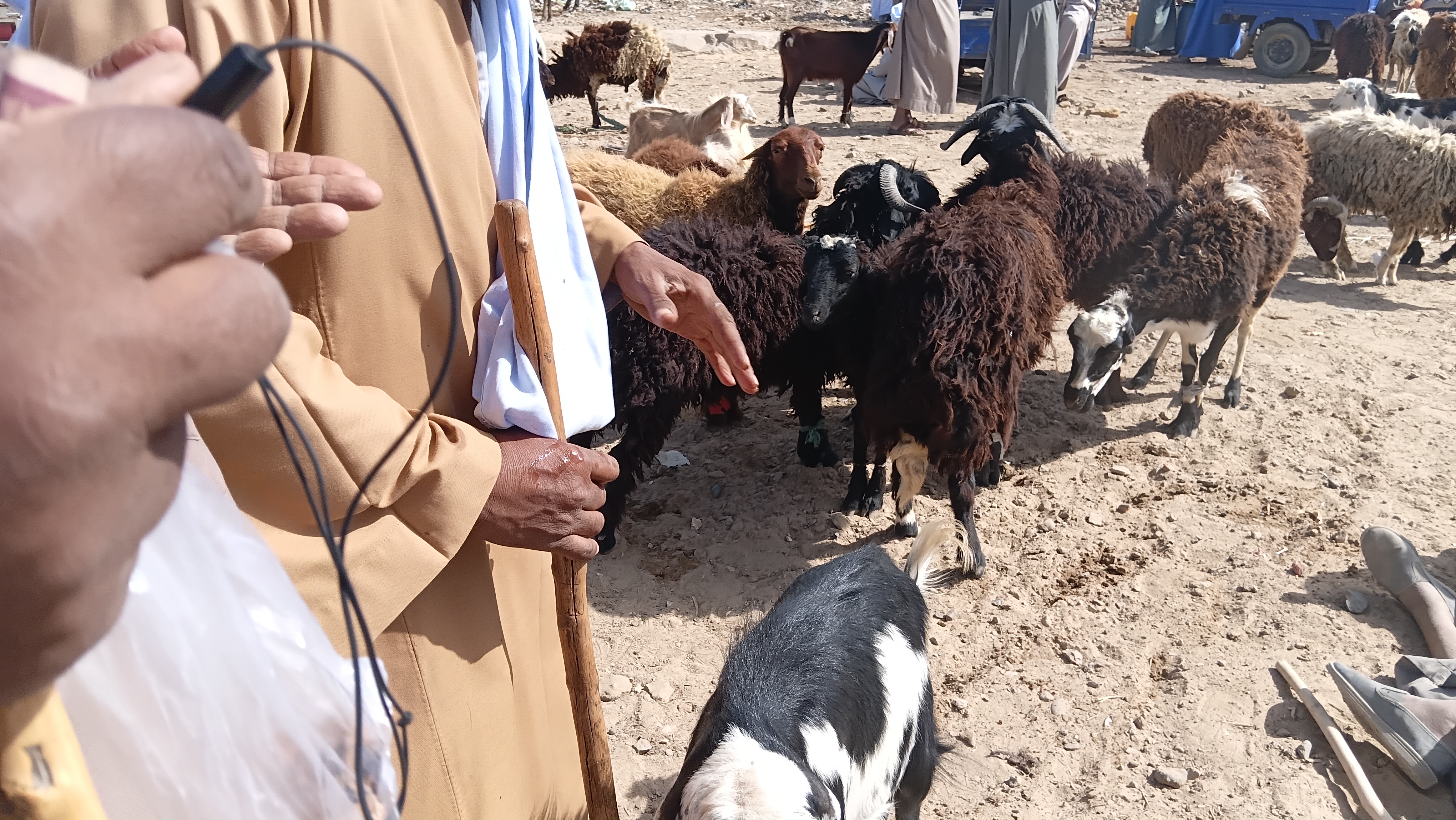 حركة البيع والشراء 